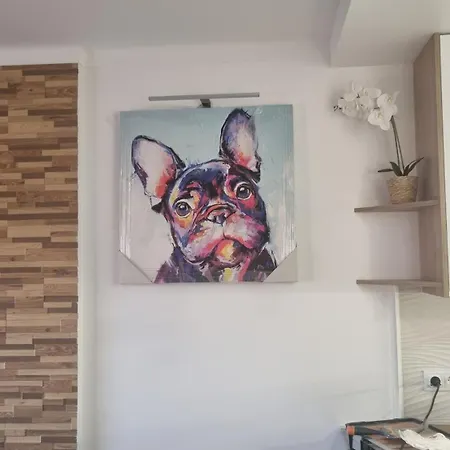 Sunny Escape Apartment